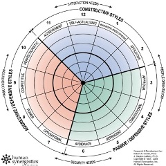 circumplex by human synergistics